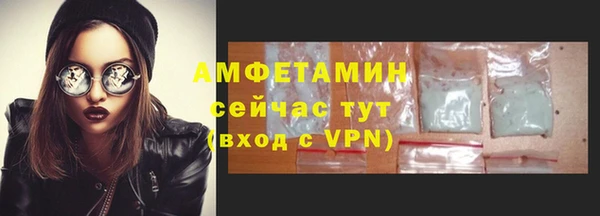 apvp Гусев