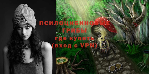 ALPHA PVP Гусь-Хрустальный
