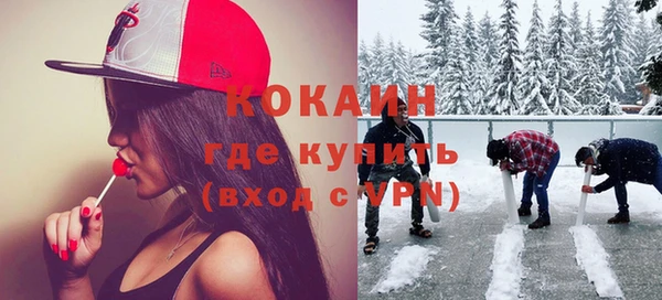 apvp Гусев