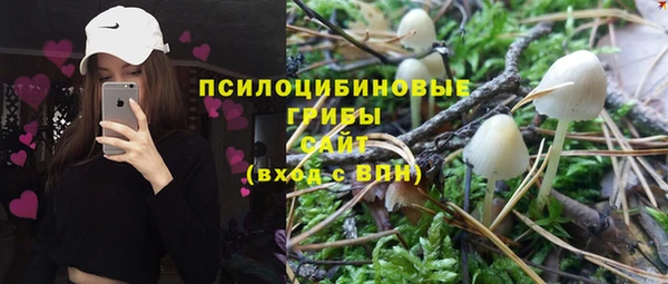 ALPHA PVP Гусь-Хрустальный