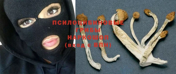 ALPHA PVP Гусь-Хрустальный