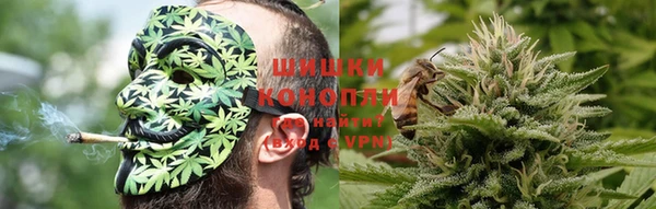 apvp Гусев